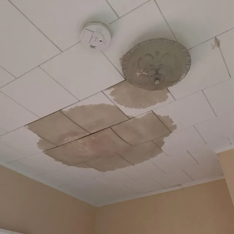 Ceiling Water Damage Repair in Isanti County, MN