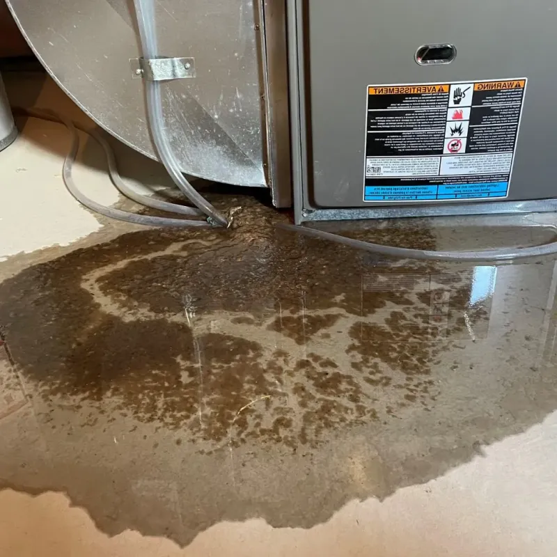 Pipe Burst and Leak Restoration in Isanti County, MN