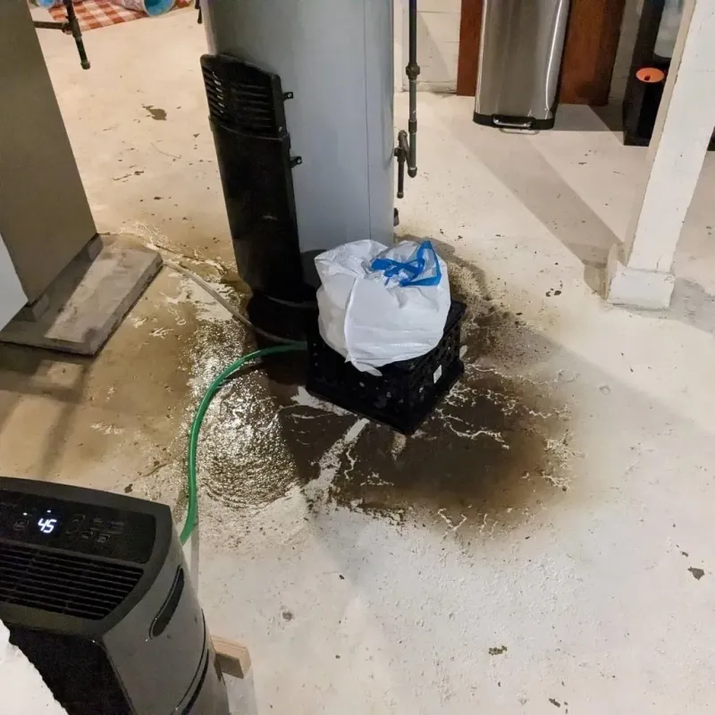Sewage Backup Cleanup Service in Isanti County, MN